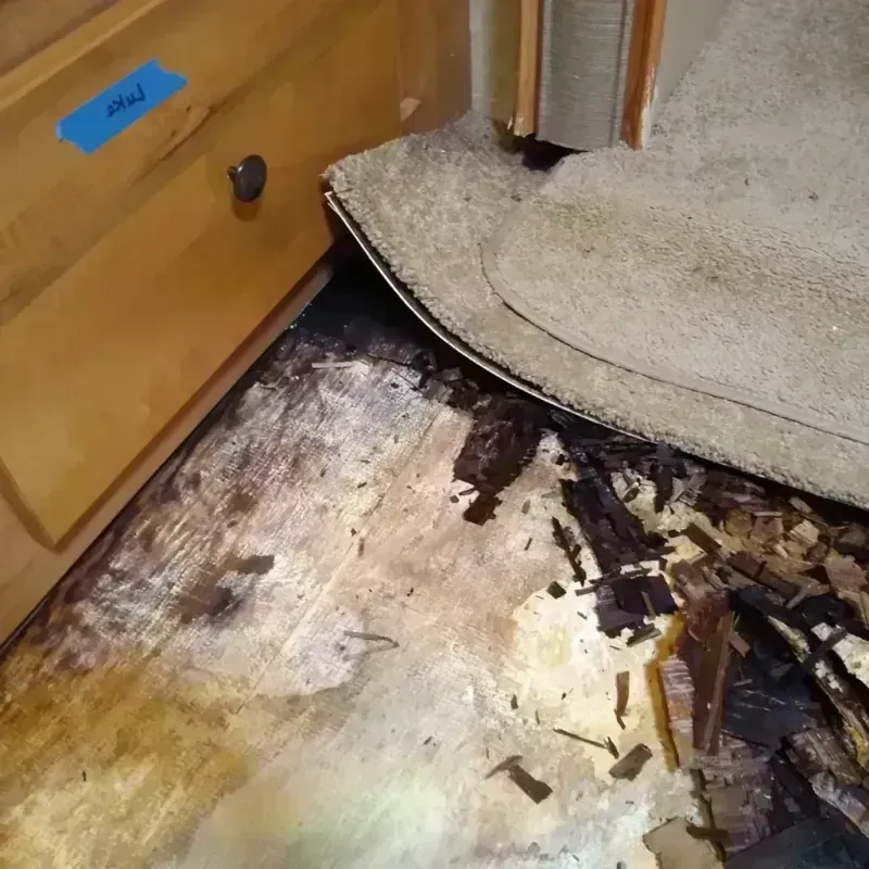 Best Wood Floor Water Damage Service in Olympia Heights, FL